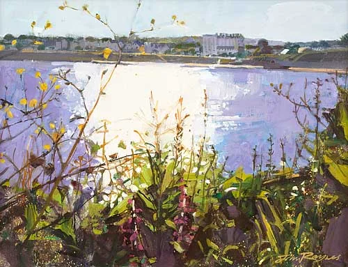 Falmouth Sea Front from Castle Drive