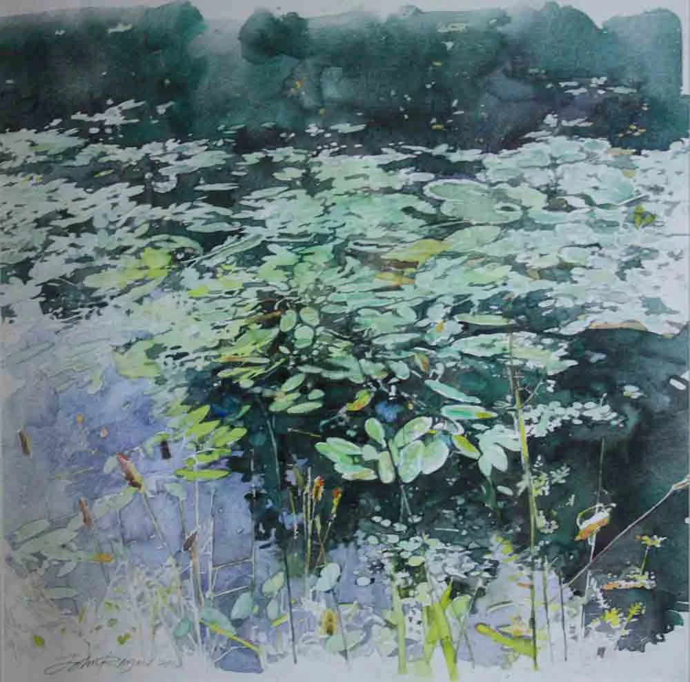 Water-Lilies-at-Ennis-.jpg