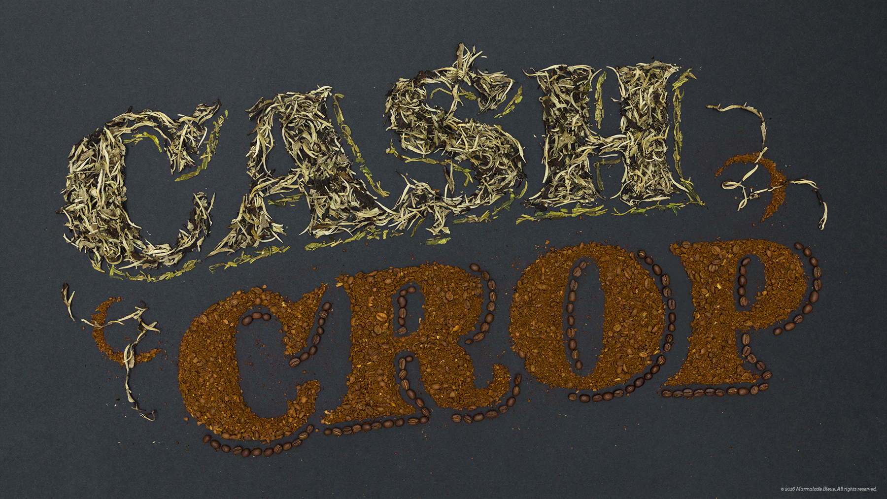 Conde-Nast-Cash-Crops-site.jpg