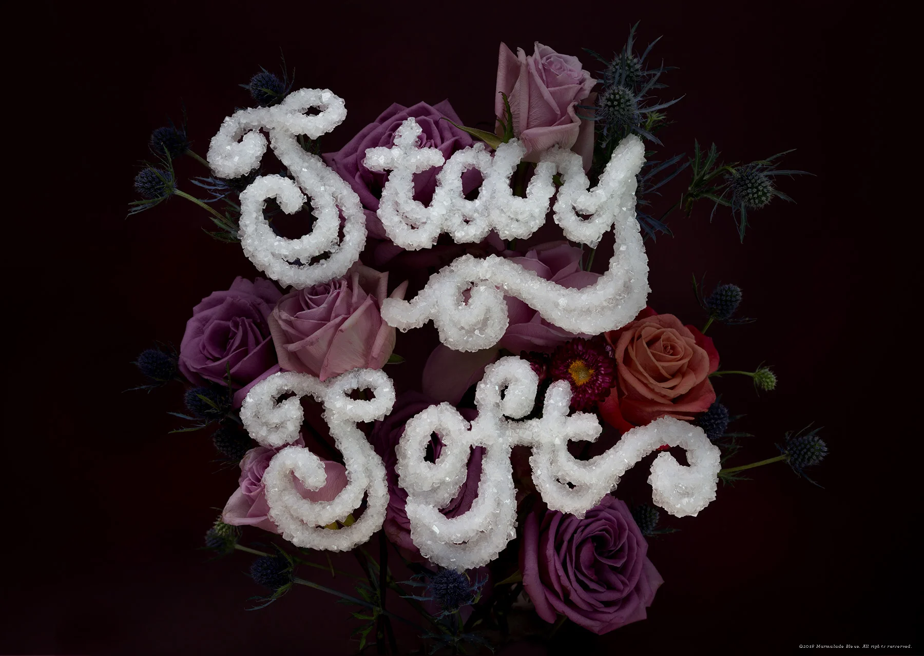 Stay-Soft-horiz.jpg