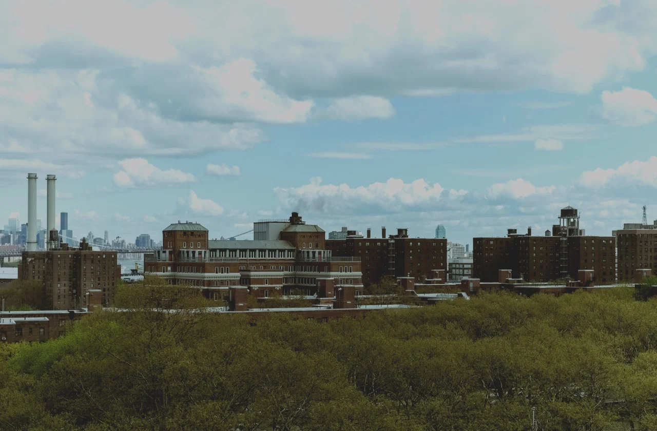 Atlantic Yards from Fort Greene Park