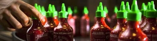 shortformblog:
Rooster sauce success: Sriracha getting a $40 million expansion: It appears the world agrees with us that Sriracha is pretty much the greatest thing ever, because they have to move to a new factory to keep up with demand. source