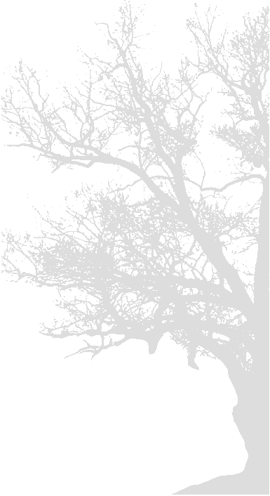 LoneOak-Left.gif