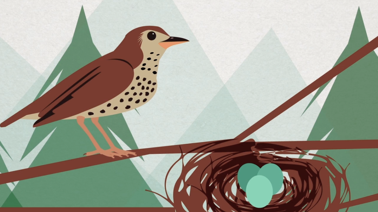 Audubon Society_COVER.png