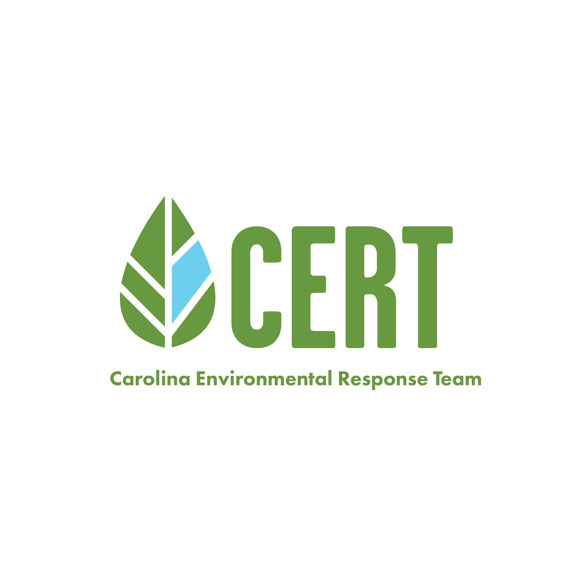 CERT logo.png