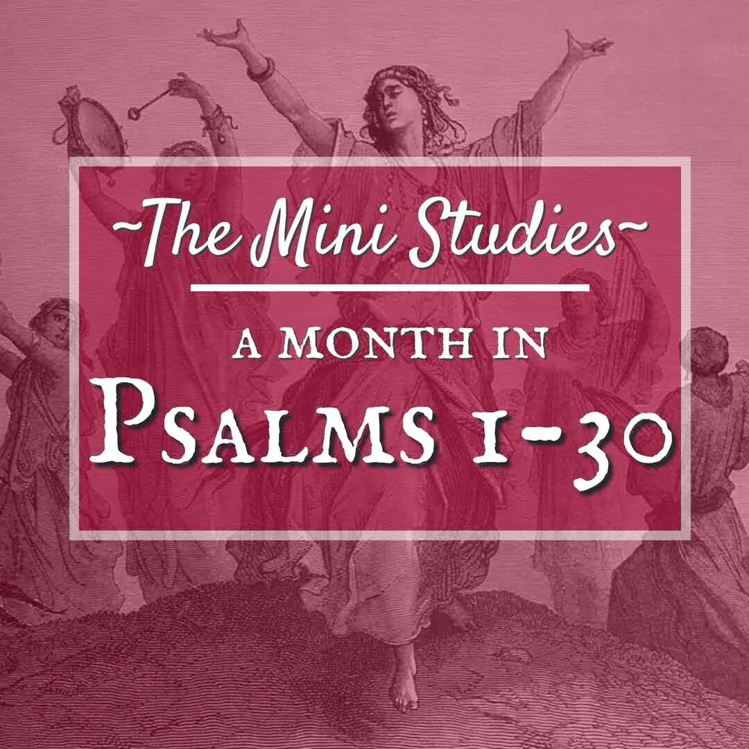 The Mini Studies — A Month in Psalms 1-30