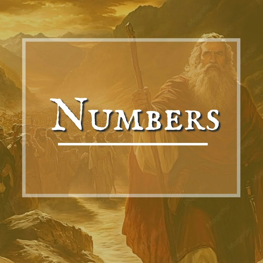 Numbers