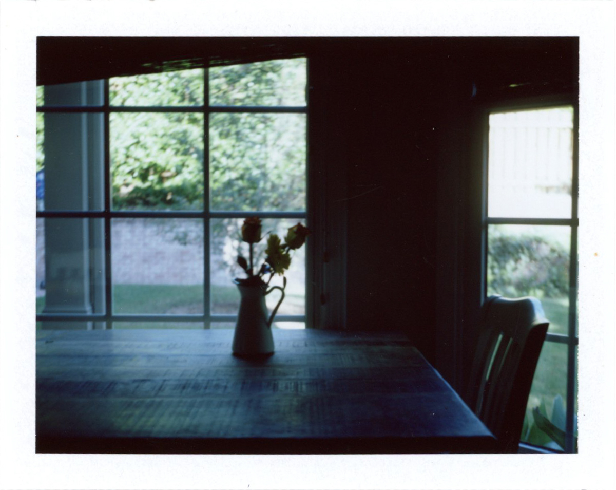 Fall Light | Azzari Jarrett