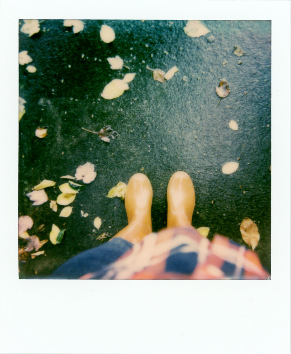Impossible Color Instant Film | Azzari Jarrett