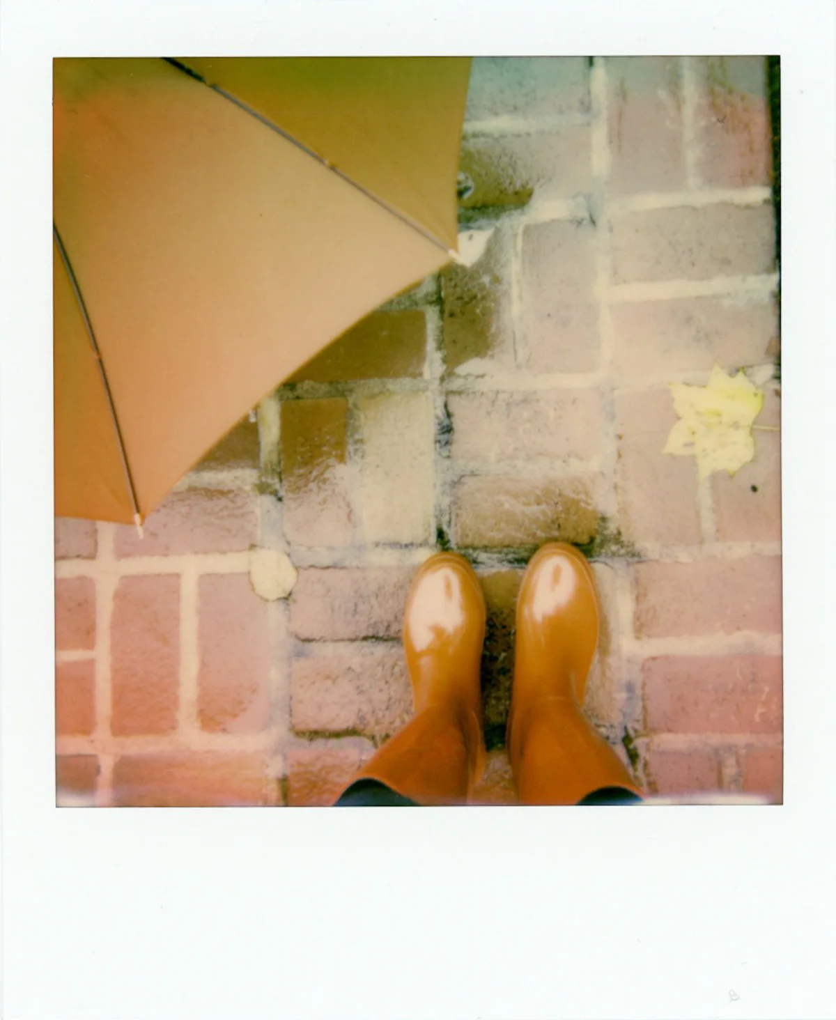 Impossible Color Instant Film | Azzari Jarrett