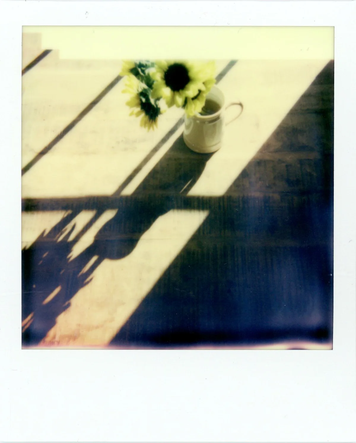 Impossible Color Instant Film | Azzari Jarrett