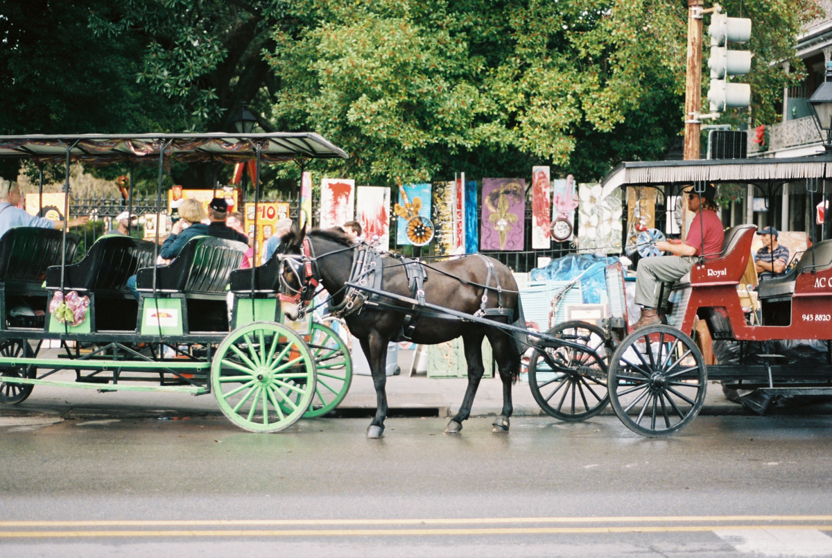 New Orleans, Louisiana, Nikon f100, 35mm | Azzari Jarrett