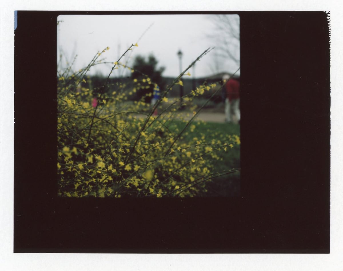 Hasselblad 500cm | Fuji FP 100c Film | Azzari Jarrett
