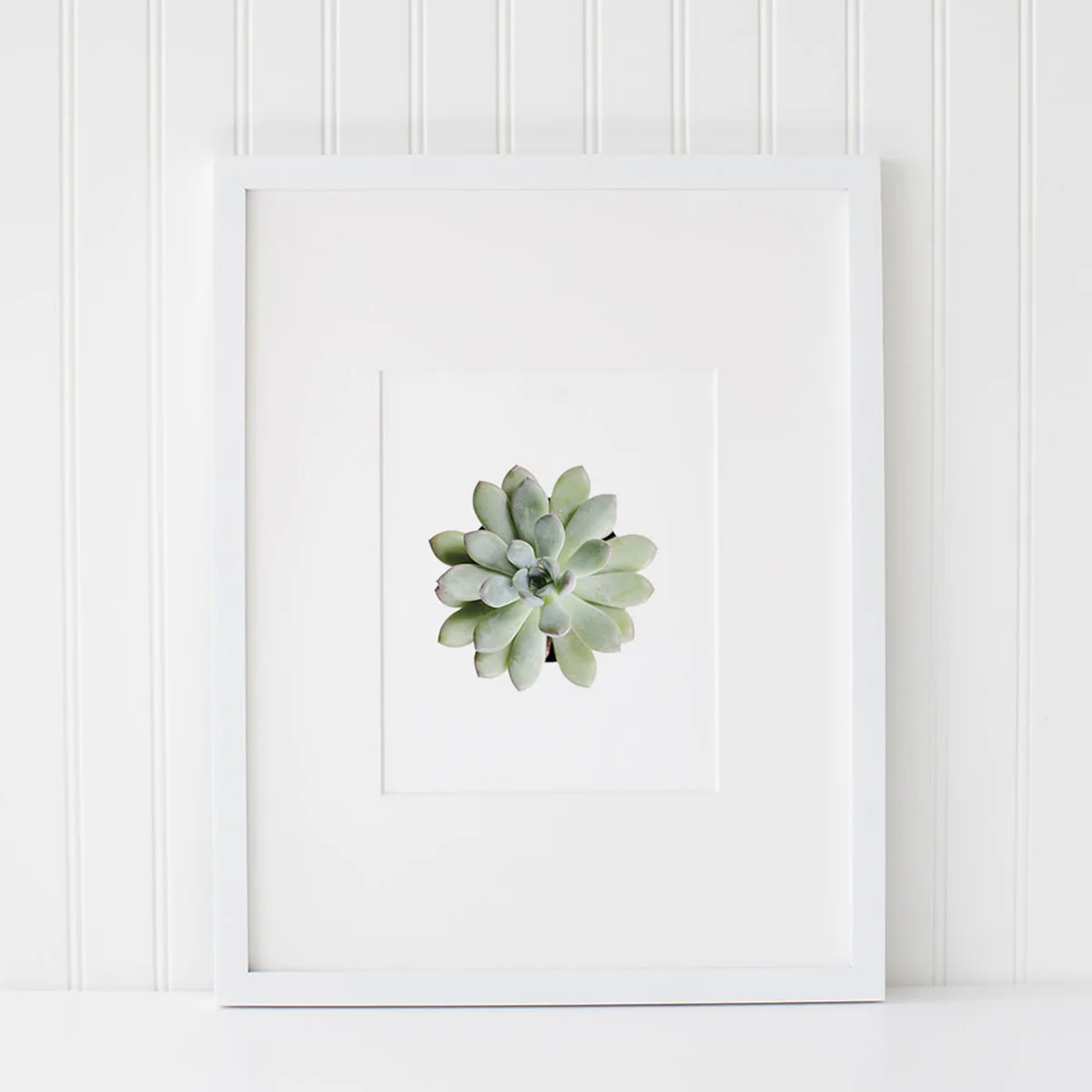 Azzari Jarrett | Succulent Printable 