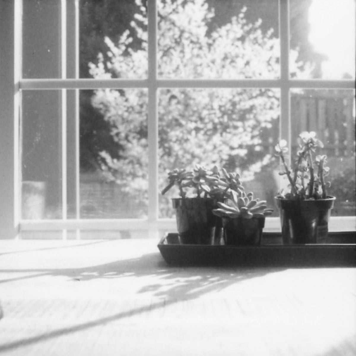 Fuji Fp 3000b Azzari Jarrett Photography Design Azzari Jarrett Fuji Fp 3000b Azzari Jarrett Photography Design Azzari Jarrett