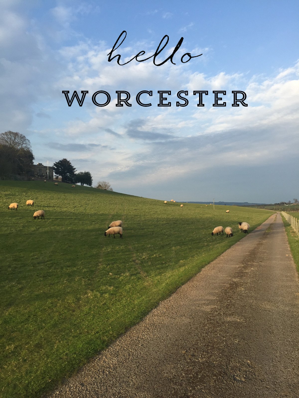 Worcester | Azzari Jarrett