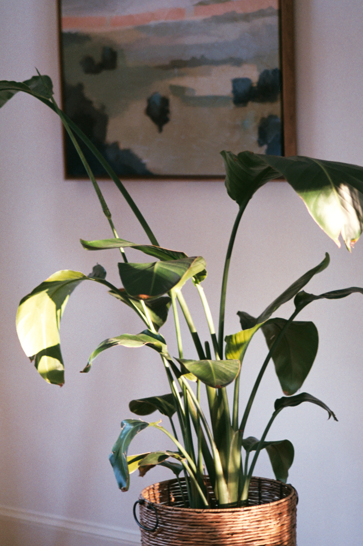 January on Film | Azzari Jarrett