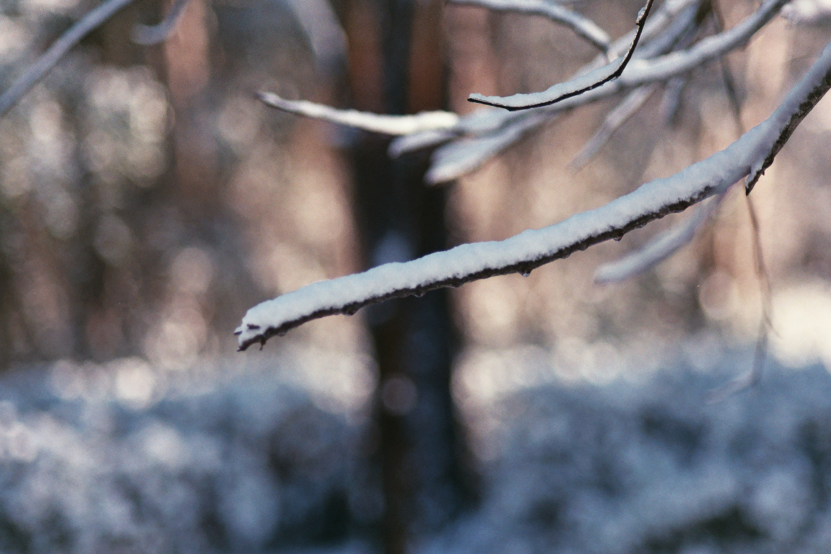 AzzariJarrett_JanuaryOnFilm-3.jpg