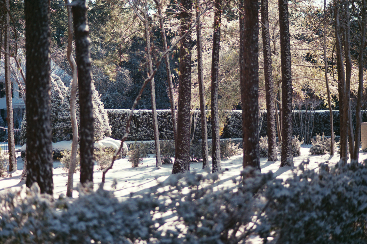 AzzariJarrett_JanuaryOnFilm-4.jpg