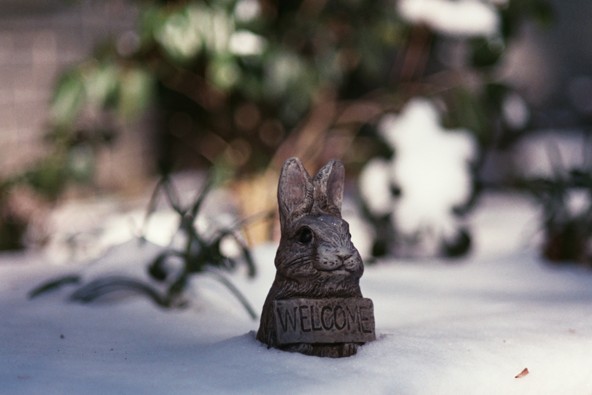 AzzariJarrett_JanuaryOnFilm-6.jpg