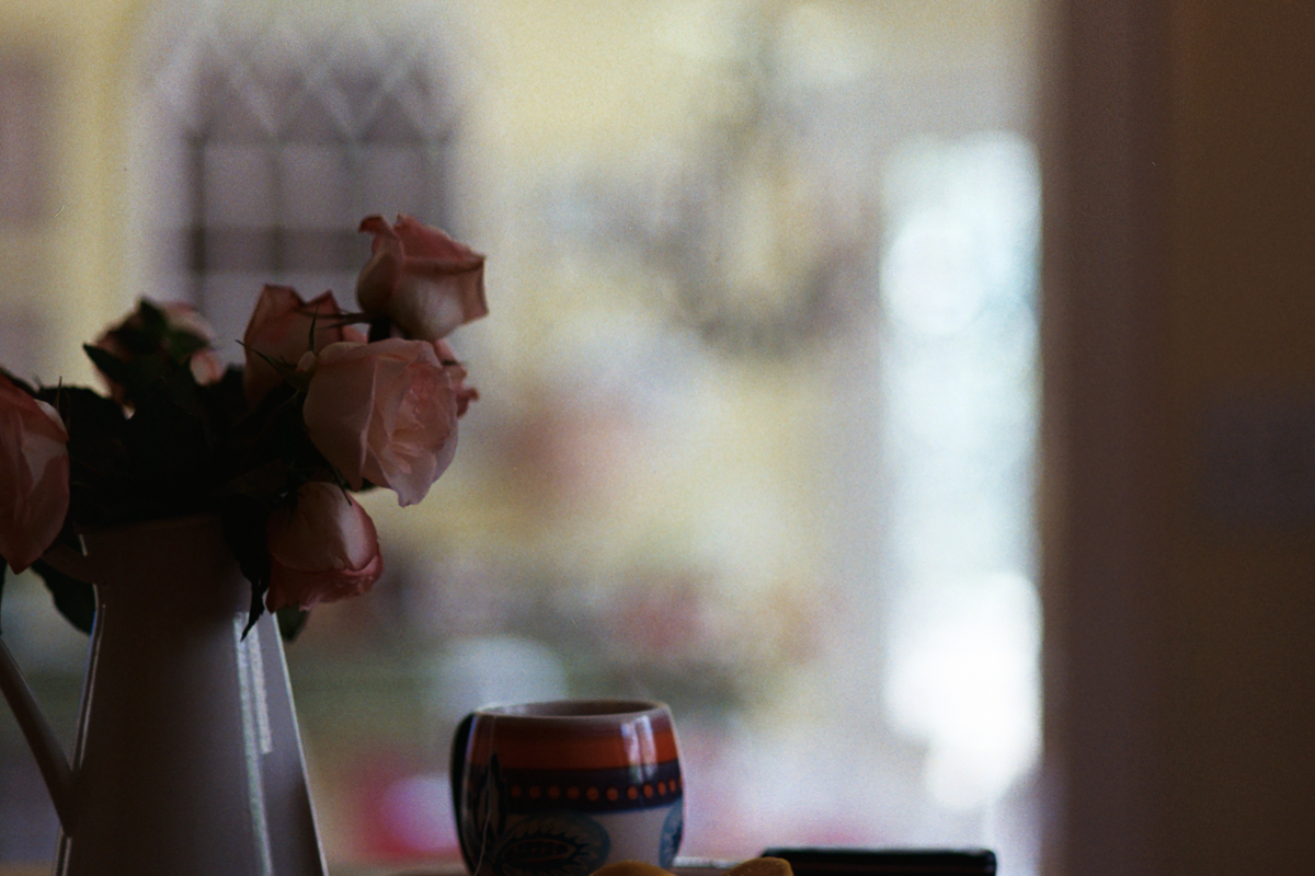 AzzariJarrett_JanuaryOnFilm-23.jpg