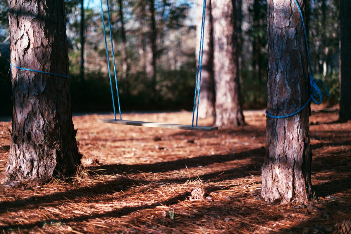 Azzari Jarrett | February on Film