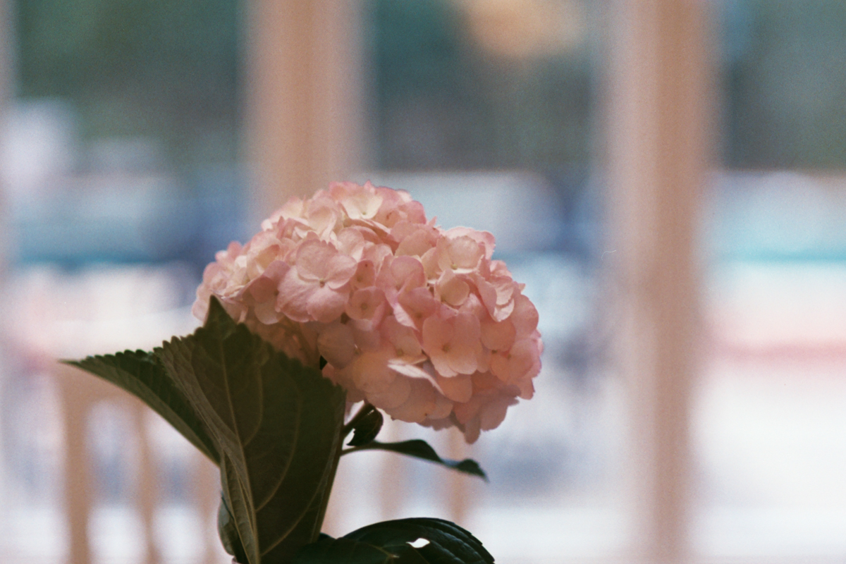 AzzariJarrett_FebruaryonFilm-3.jpg