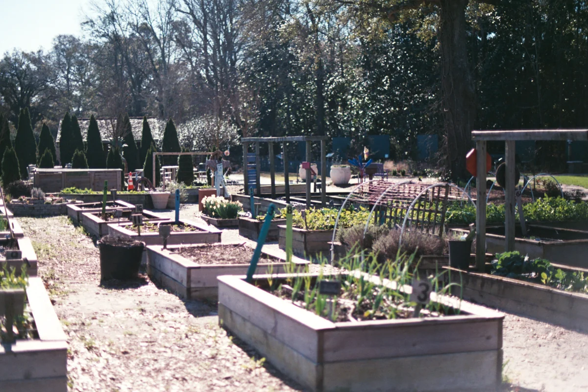 AzzariJarrett_FebruaryonFilm-23.jpg