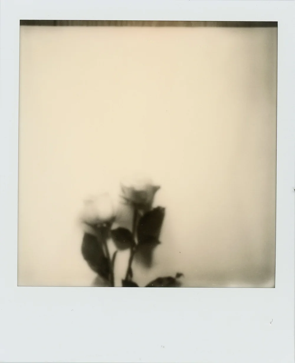 Azzari Jarrett | Polaroid Film