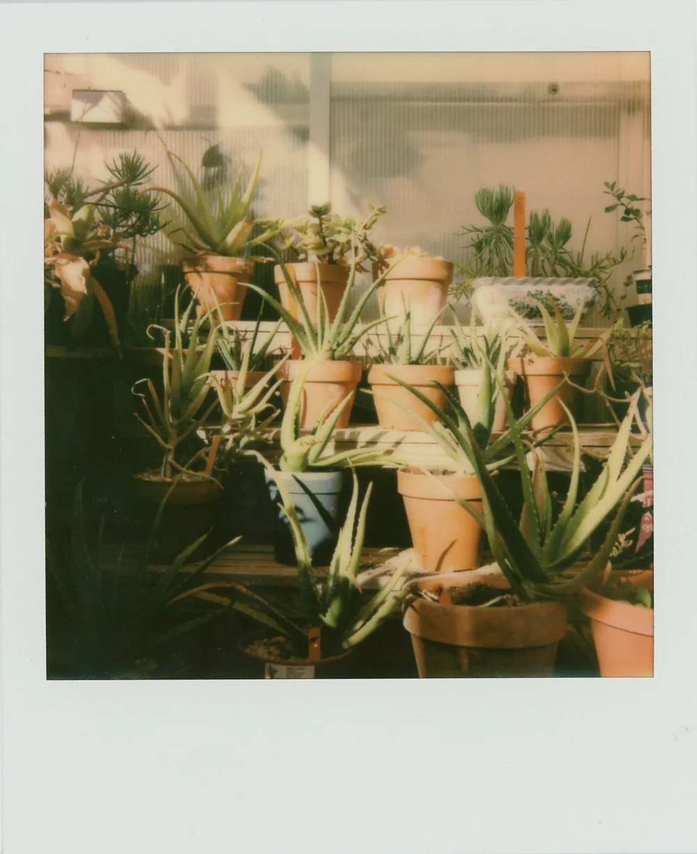Azzari Jarrett | Polaroid One Step 2
