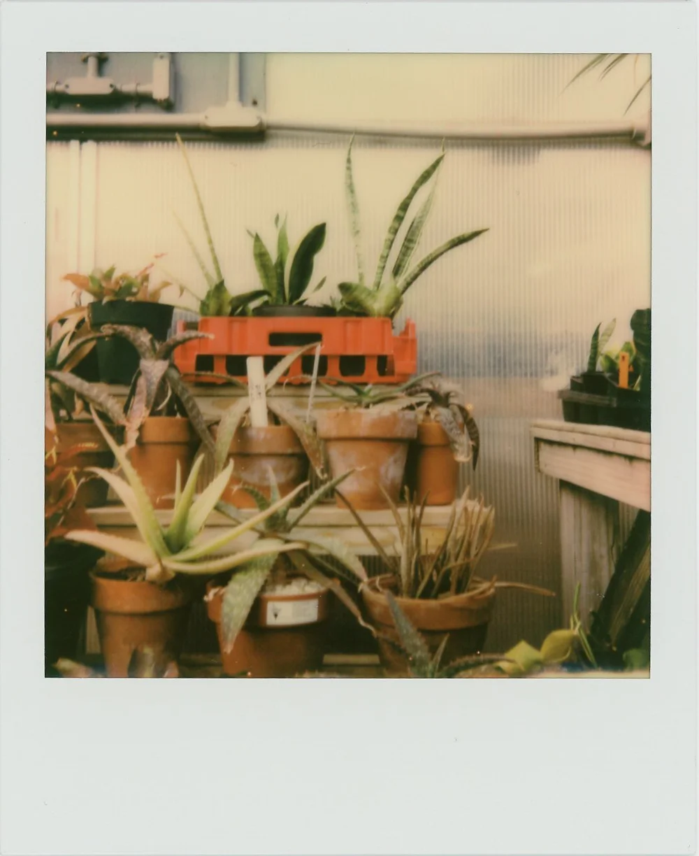 Azzari Jarrett | Polaroid One Step 2