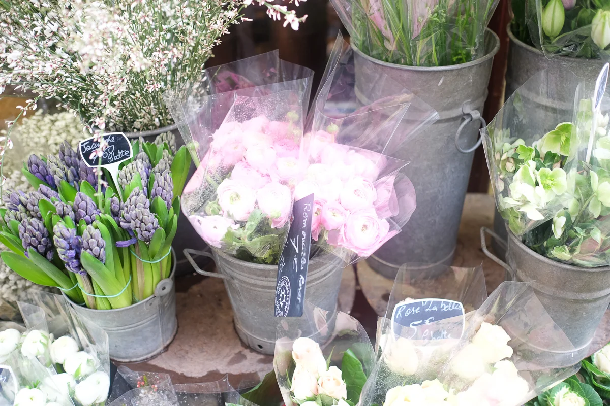 Azzari Jarrett | Flowers in Paris