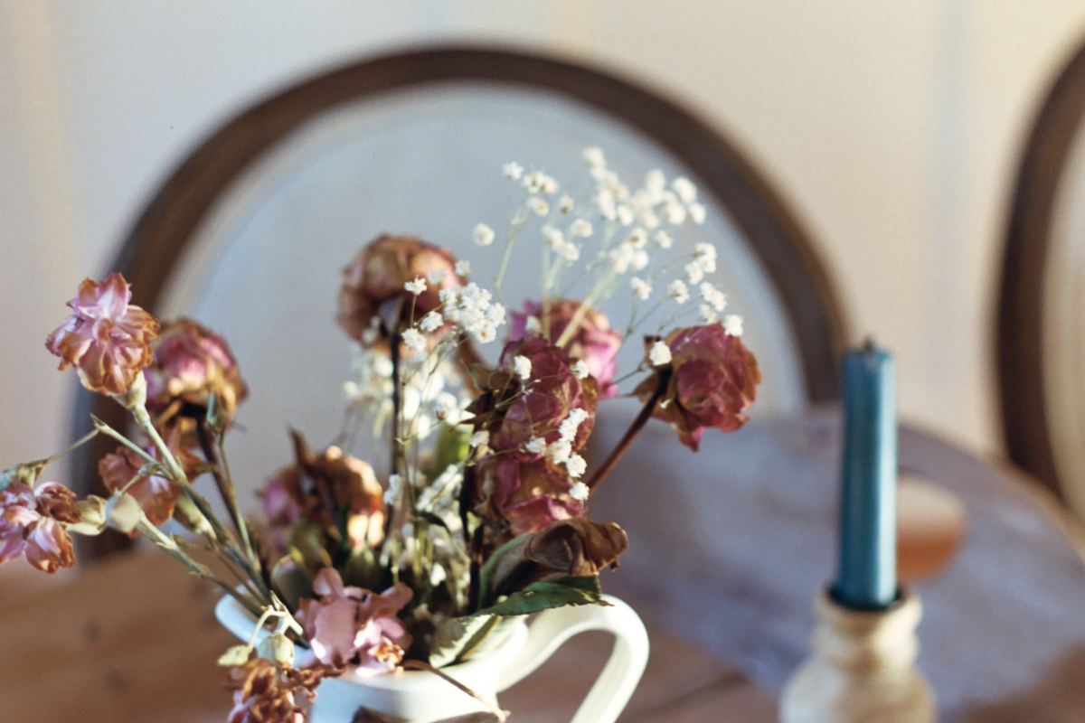 Dried flowers on 35mm film by Azzari Jarrett