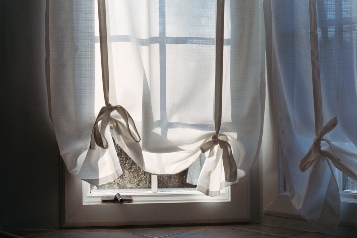 Afternoon Light on 35mm film by Azzari Jarrett