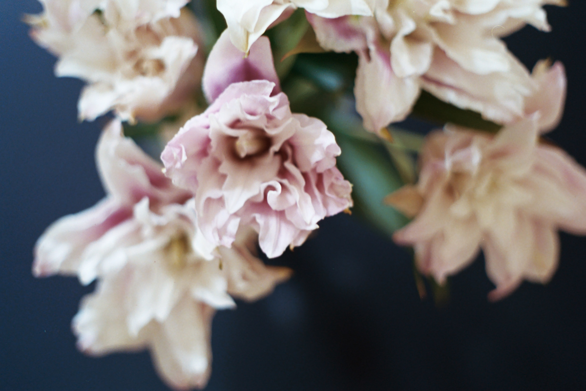 Florals on Film by Azzari Jarrett