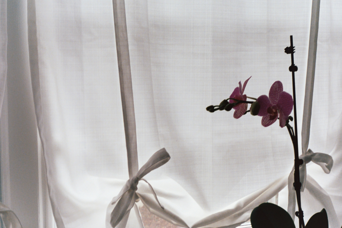 Florals on Film by Azzari Jarrett