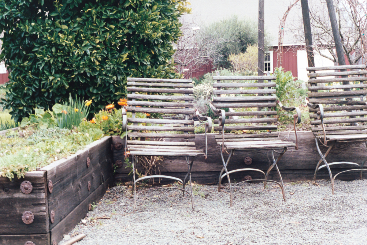 Travels | Napa Valley on 35mm film by Azzari Jarrett