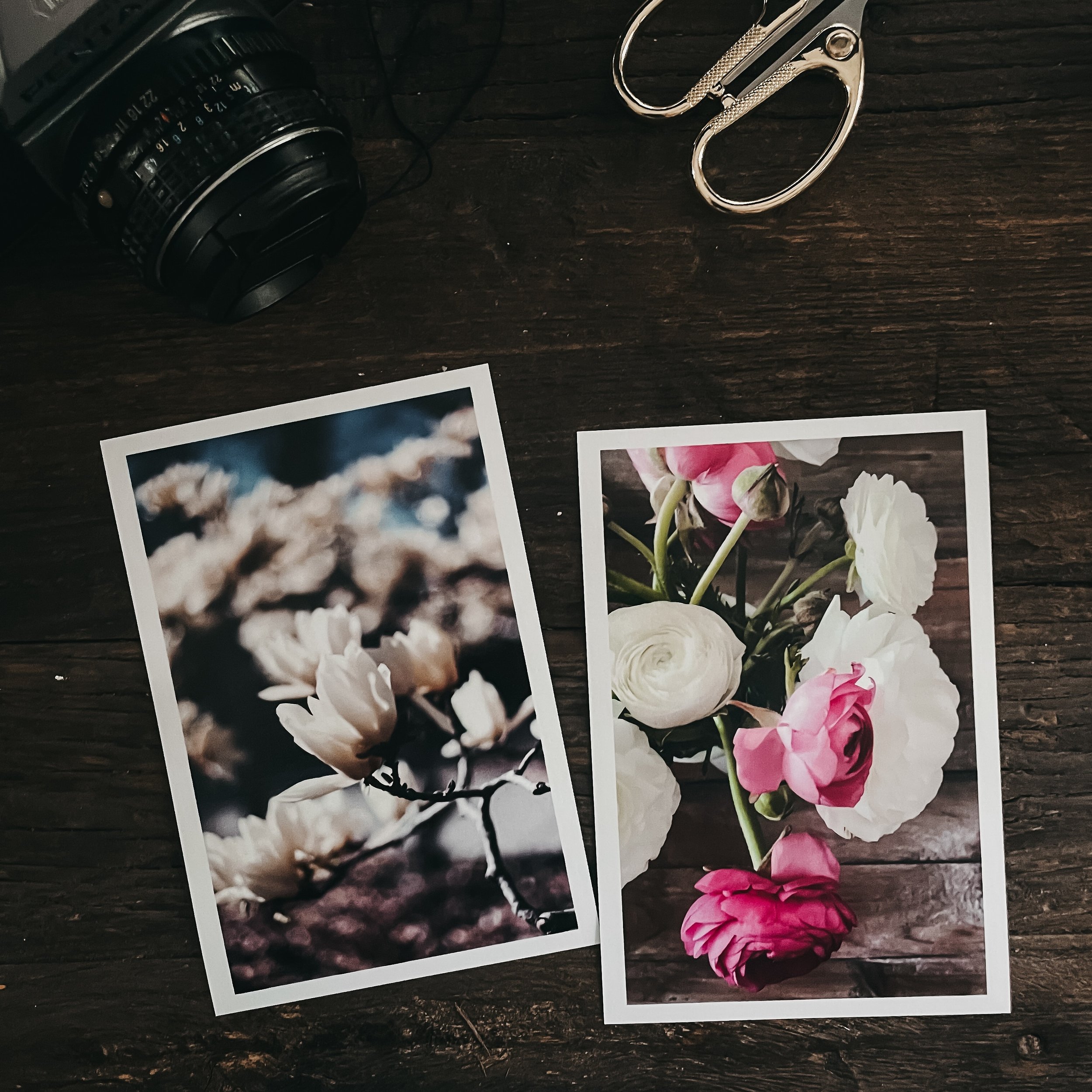 Spring may be my favorite season to photograph 🌸🌷

#azzarijarrettphotography #springphotos #onmydesk