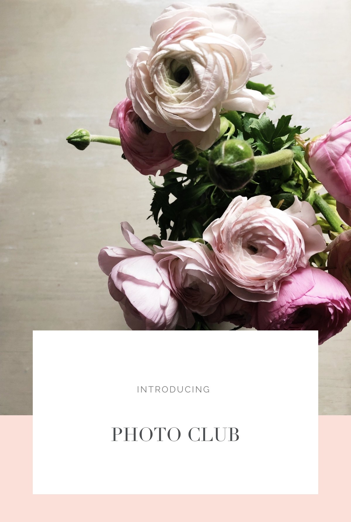 introducing_photo_club.jpg
