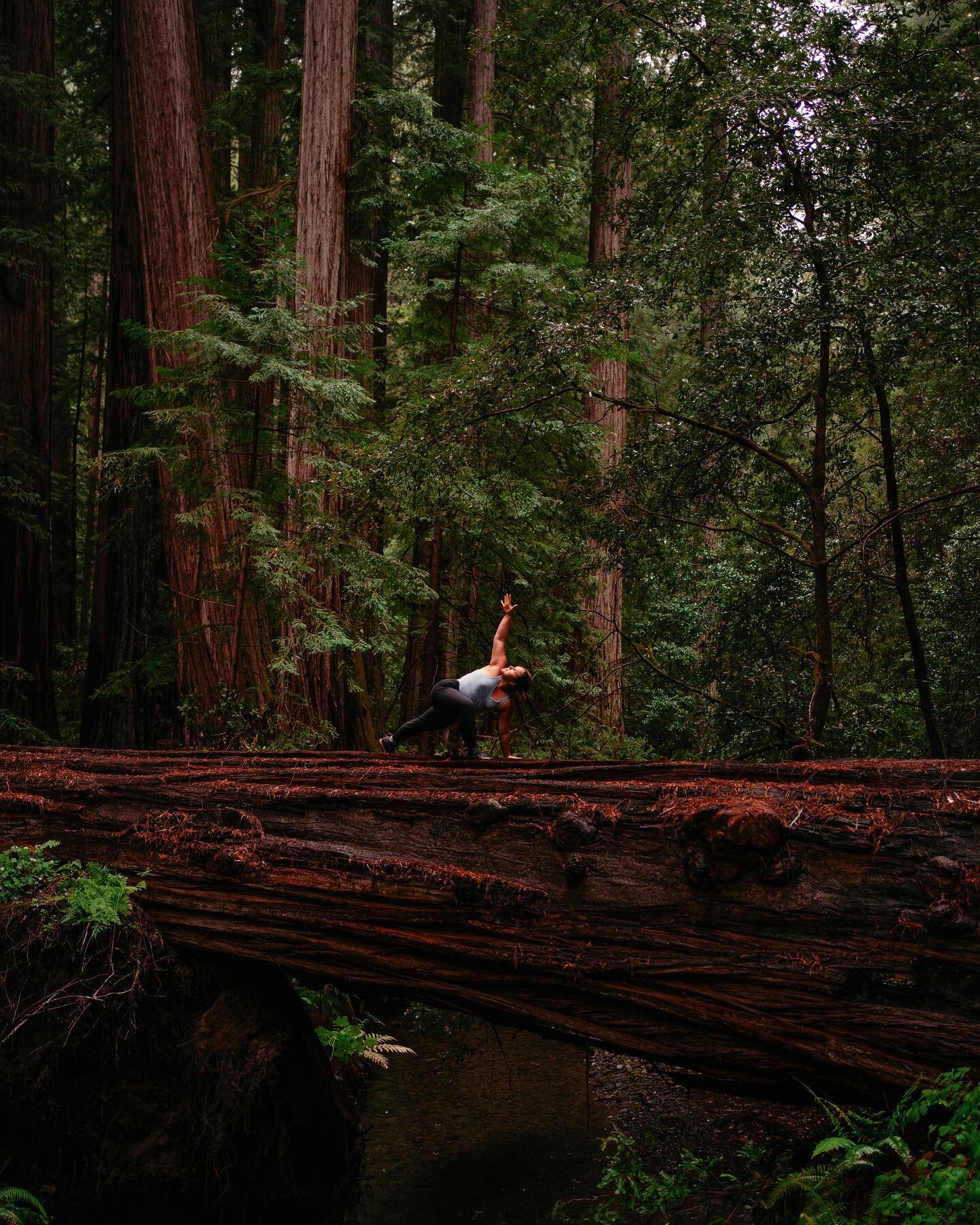 its raining on a sunday morning in northern california and i am grateful

🌲🌧