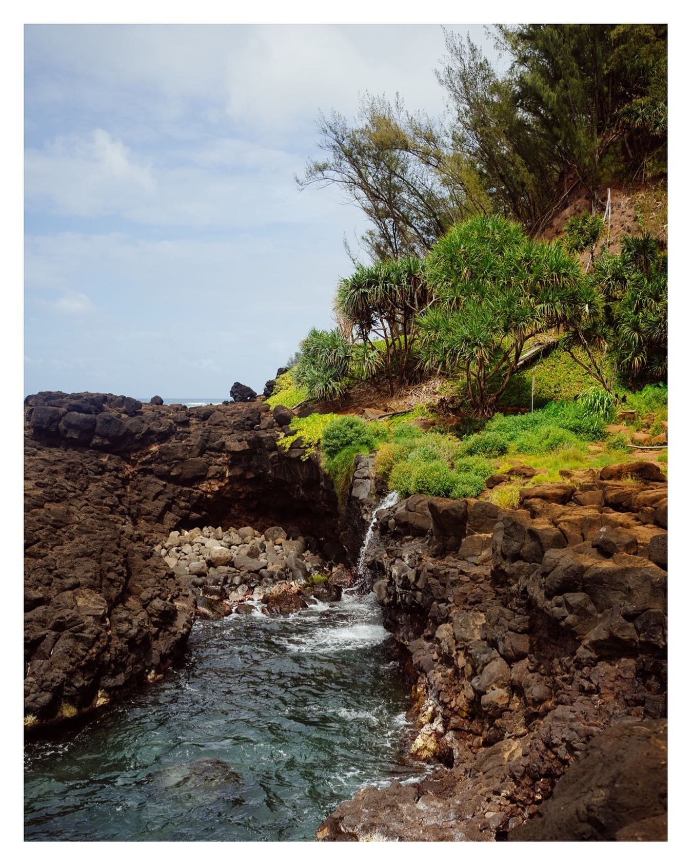 kauai from july