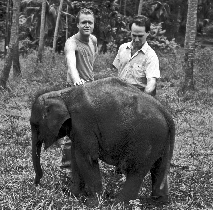 24 years old, Seanie & Steve & Baby in Sri Lanka