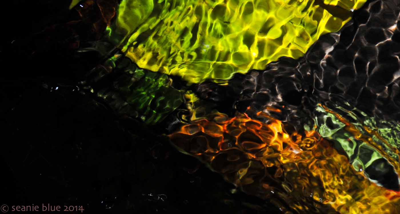 . . . when it occurs to me to do so I stoop to the water to sip and end up splashing into my own drink, face first, gulping the essence I am made of with pulsing fishy lips, until I surface for muggy air . . .