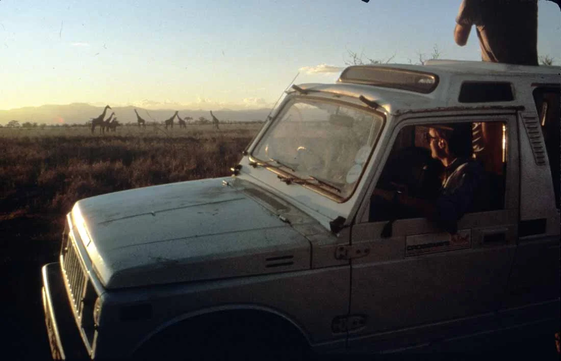 28 years old, Serengeti