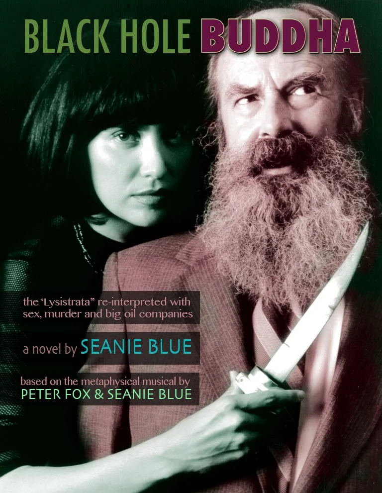 the novel . . .