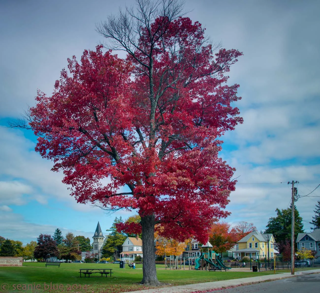 Holyoke 1s var 1300 40 Md (7 of 11).jpg