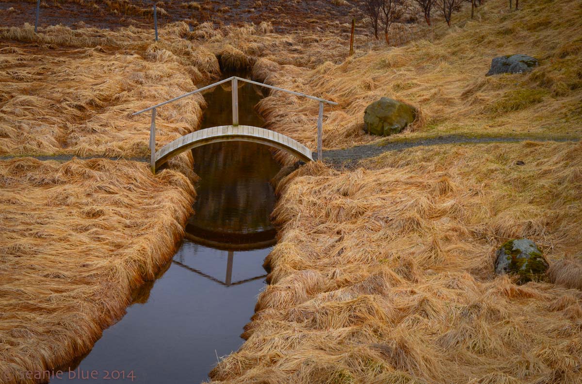 Over 80 percent of Icelanders believe that elves actually exist or might exist. Click on picture to see larger version.