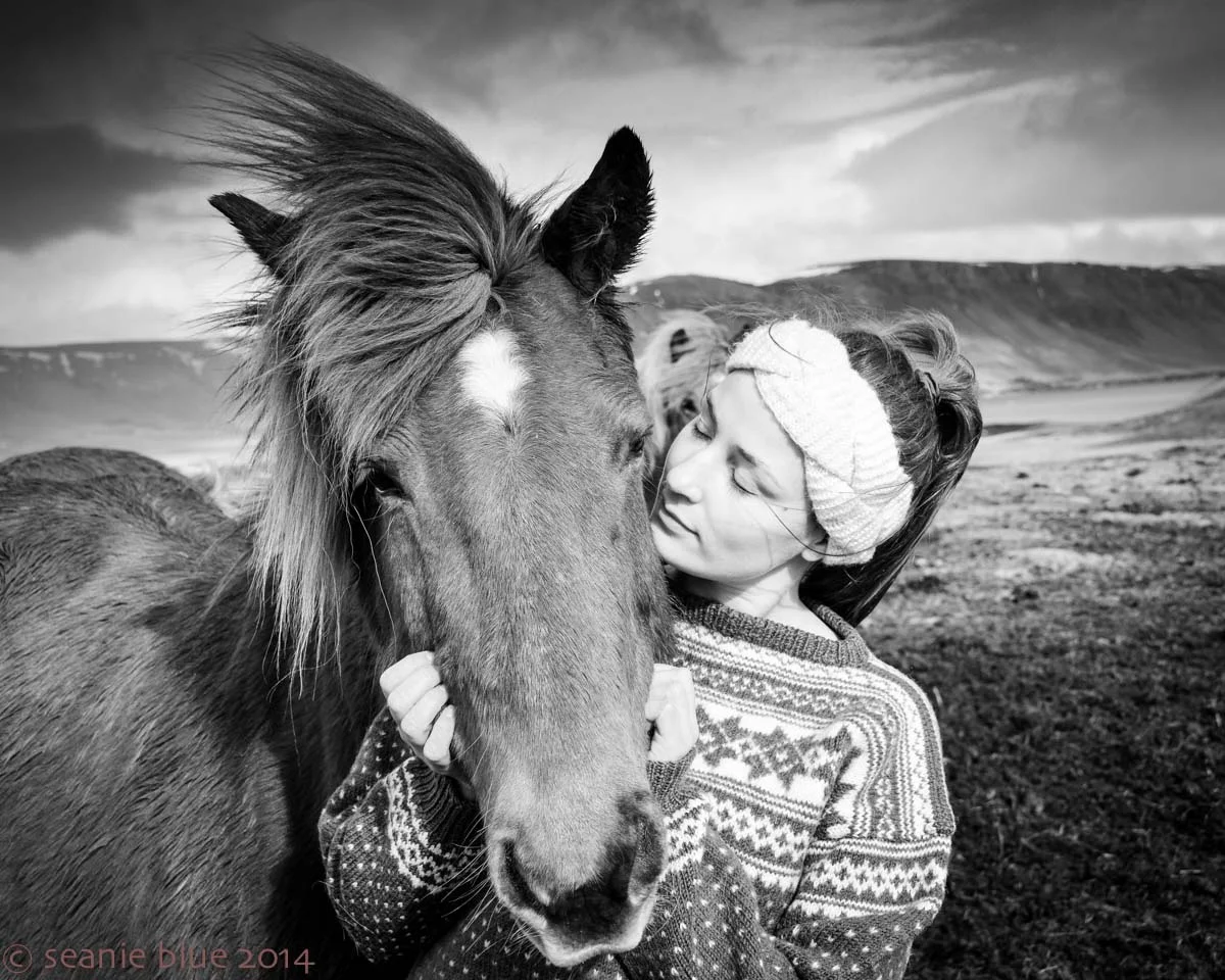 Halldora tames a nervous horse.