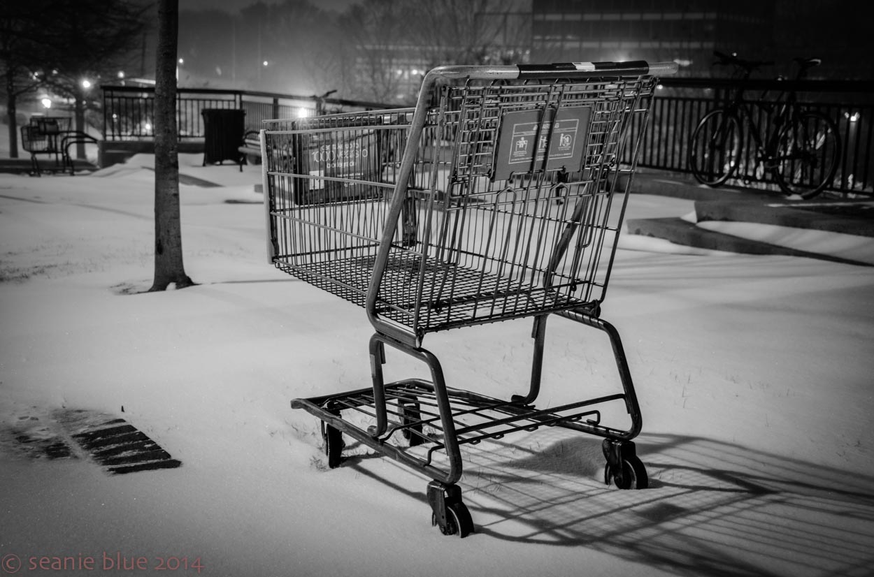 Something incongruous in a snowstorm.