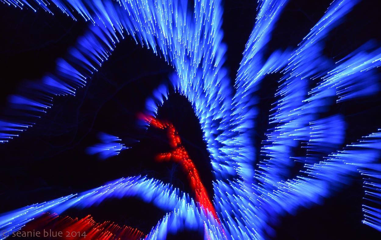 Handheld, zooming in, movement. Still a tree with lights!